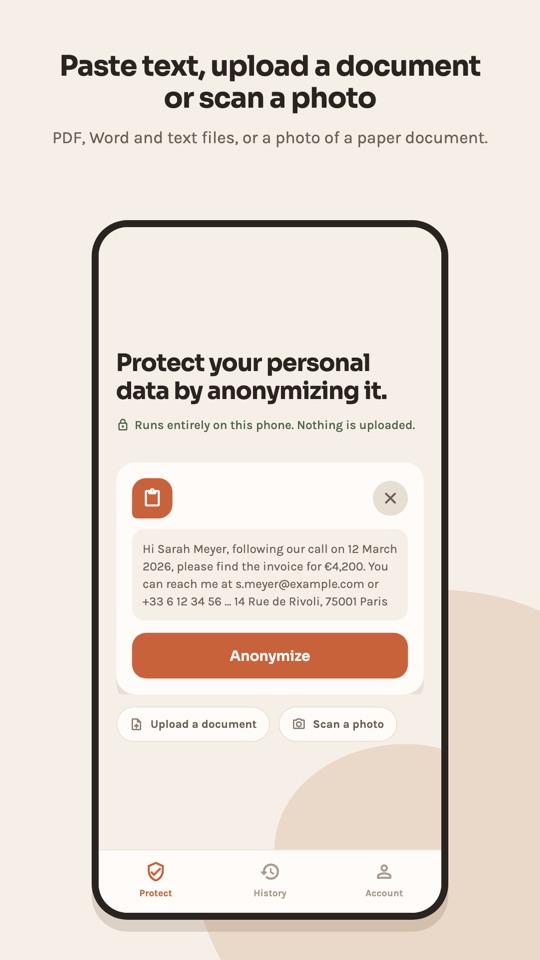Docudis home screen with pasted invoice text and an Anonymize button